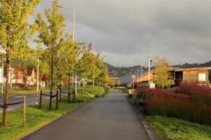 Foto: Kristine Laukli, SVV