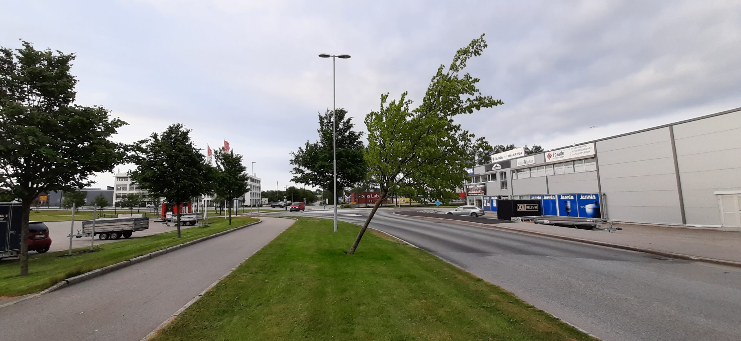 Dyp planting fører til dårlig rotvekst og stabilitet