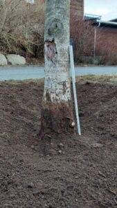 Foto Oluf Martinus Brand